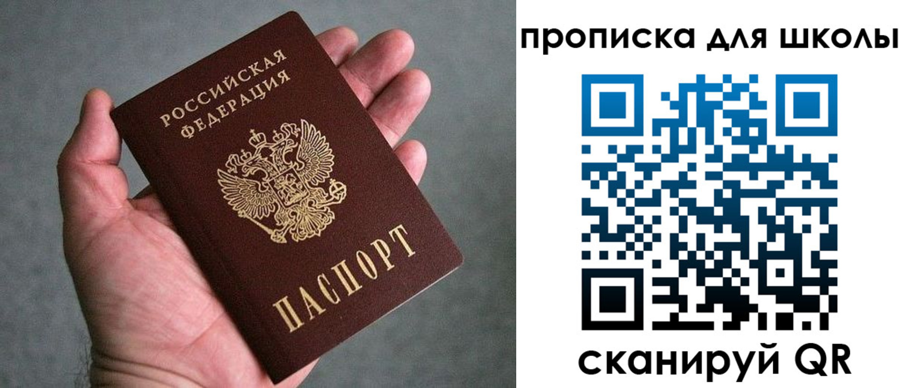 прописка для школы в Нерехте